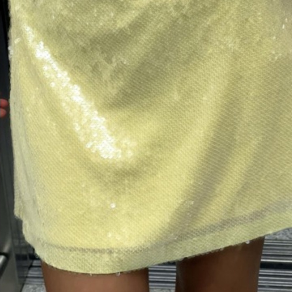 ZARA Sequin skirt - Picture 7 of 8